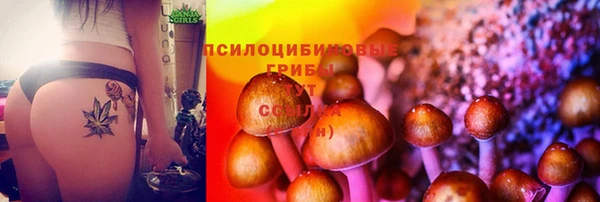спиды Белоозёрский