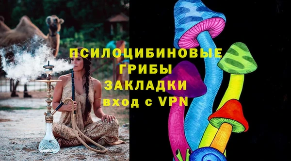 бутират Белокуриха