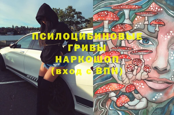 spice Беломорск
