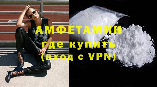дживик Няндома