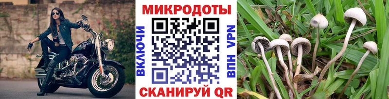 KRAKEN   магазин продажи наркотиков  Афипский  Галлюциногенные грибы Psilocybe 